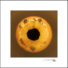 Créations originales